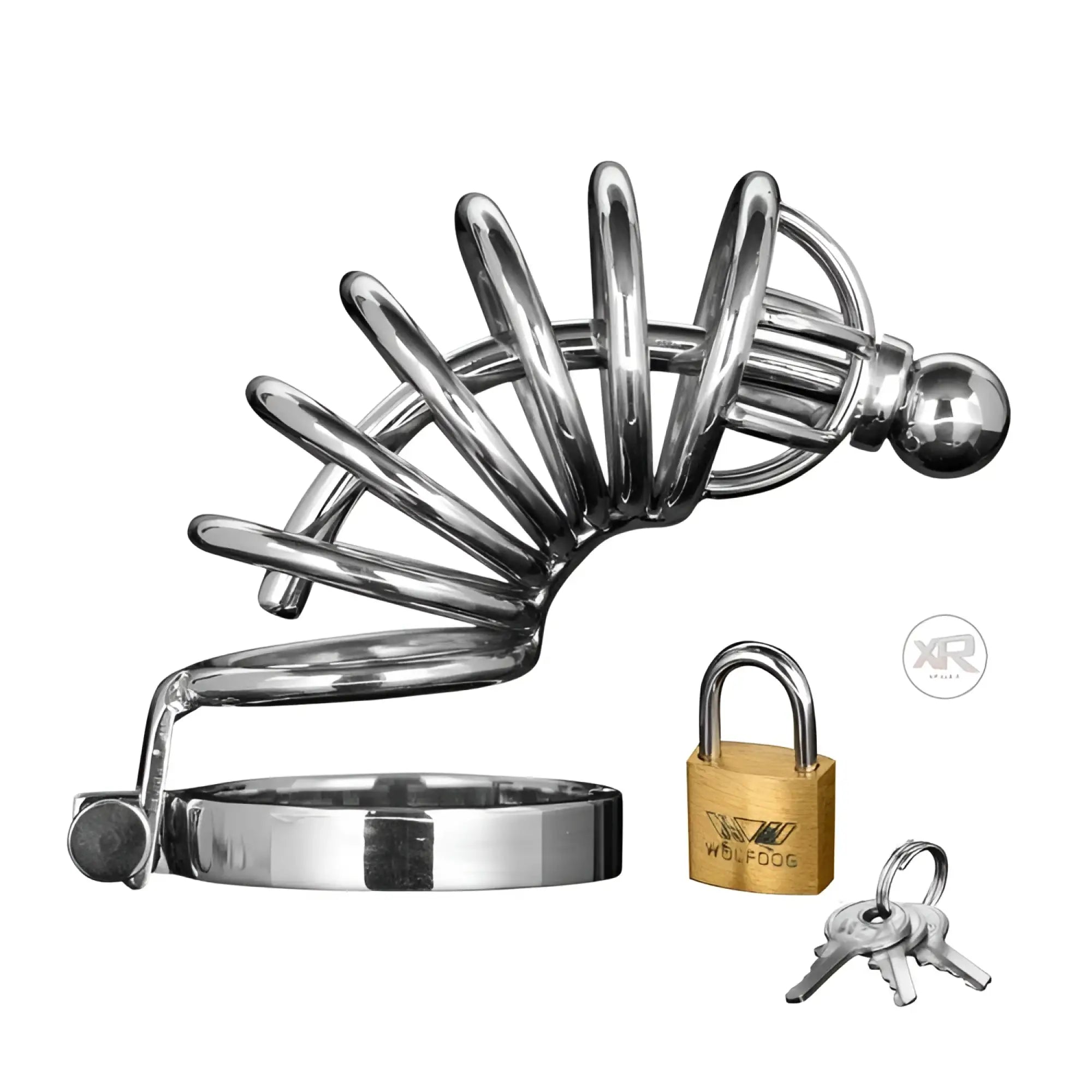 Master Series Asylum Urethral Chastity Cage