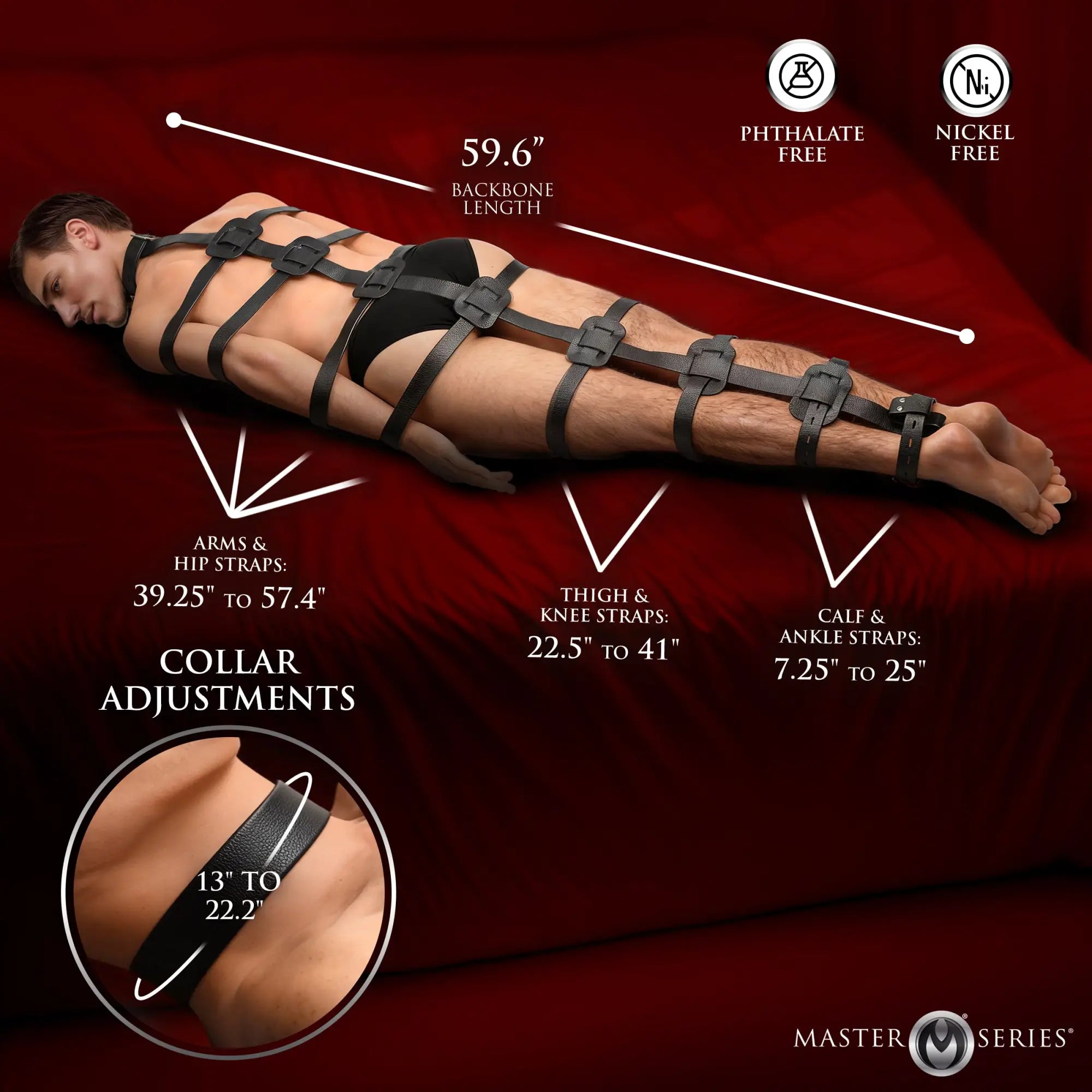Master Series Backbone Full Body Harness: a black leather-style bondage harness on a person with sizing infographics.