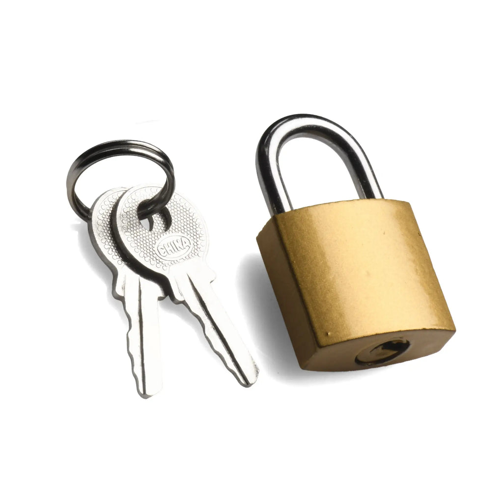 Master Series brass padlock with a silver steel shackle and two matching keys on a ring, set against a white background.
