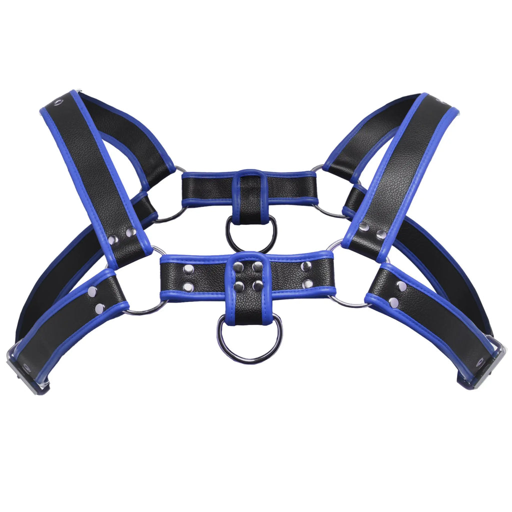 Master Series Bulldog harness in black faux leather with blue trim, featuring silver studs and metal O-rings.