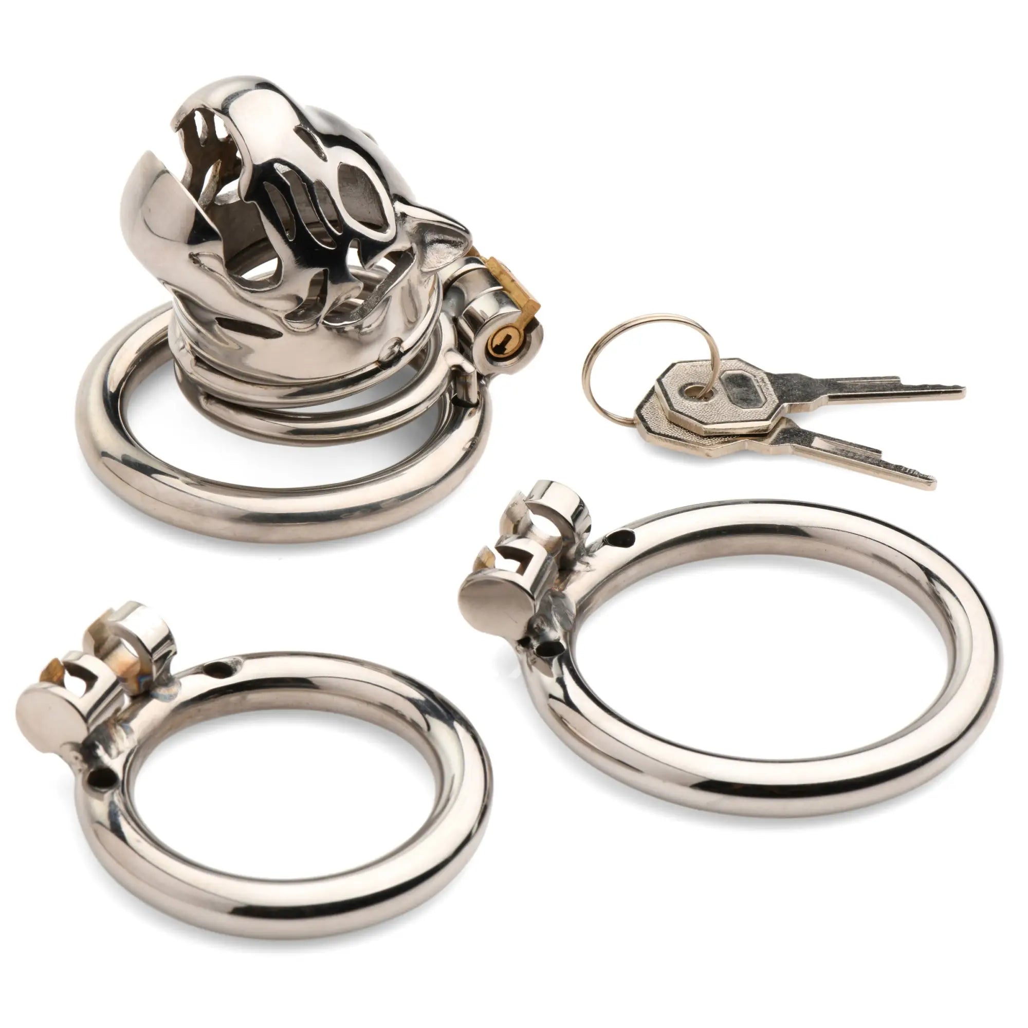 Master Series Caged Cougar locking chastity cage in silver metal, including two base rings and a key set.