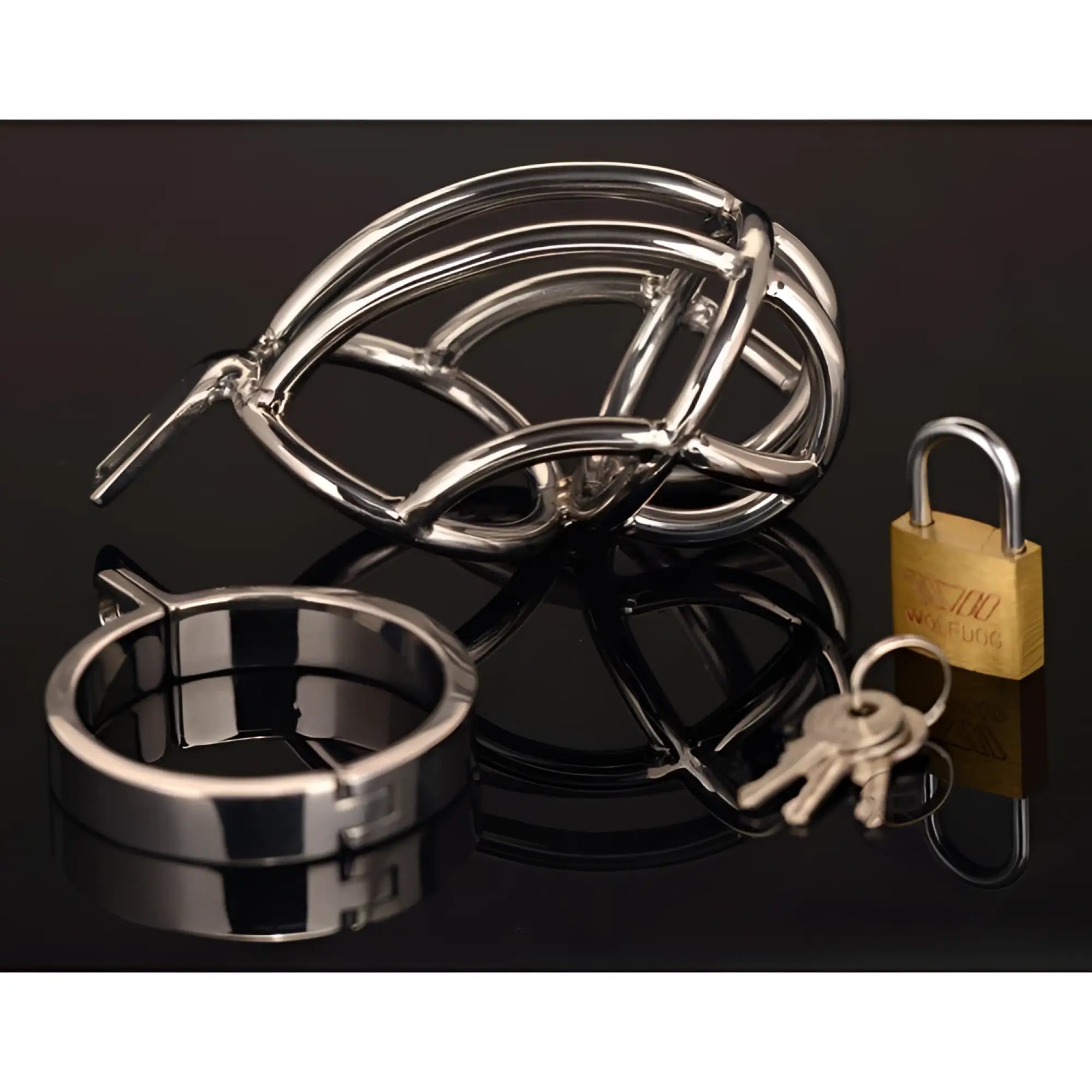 Master Series The Captus Stainless Steel Chastity Device