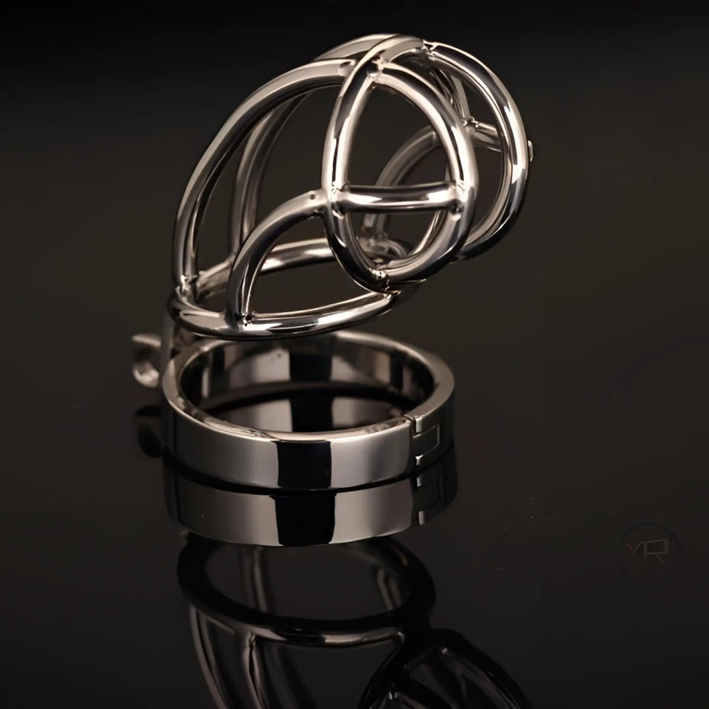 Master Series The Captus: A reflective silver stainless steel cage and ring chastity device on a dark background.