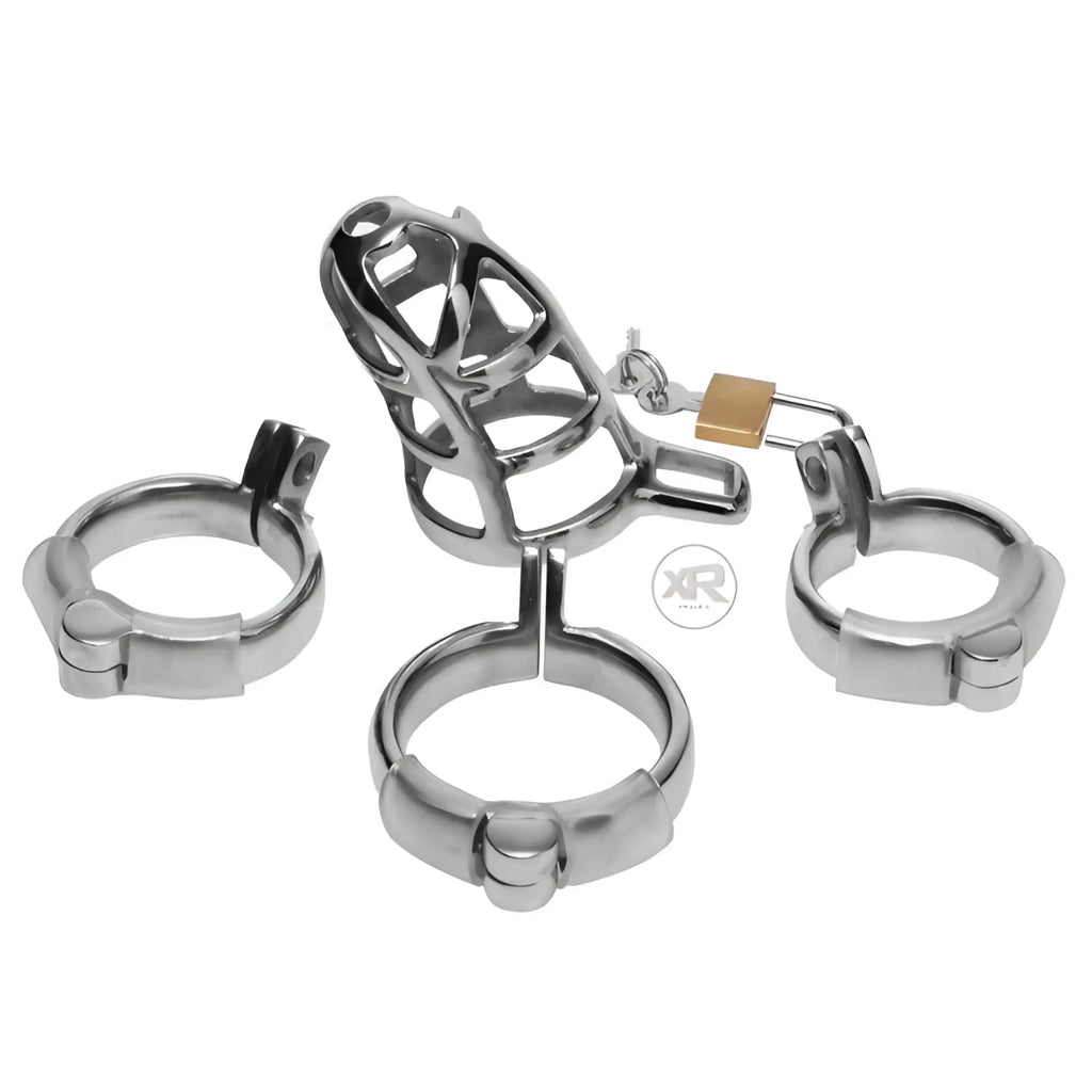 Master Series silver stainless steel chastity cock cage with three base rings and a small padlock with keys.