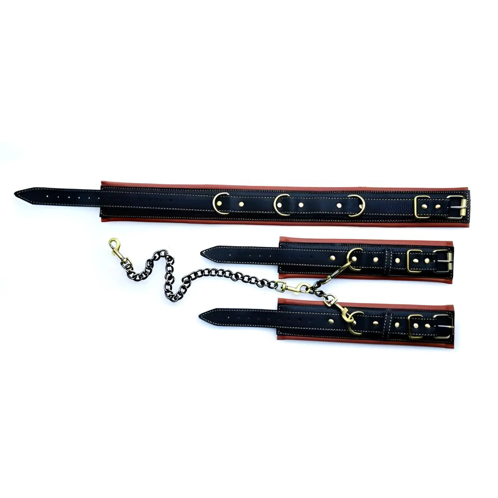 Master Series Coax collar and wrist restraints in black leather with tan lining, gold hardware, and connecting chains.