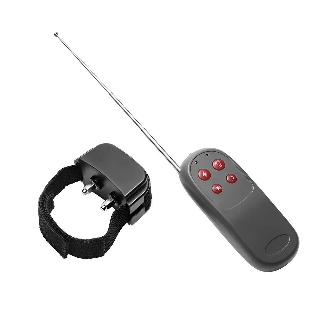 Master Series Cock Shock CBT ring with black fabric strap and a gray remote control featuring four red buttons and antenna.