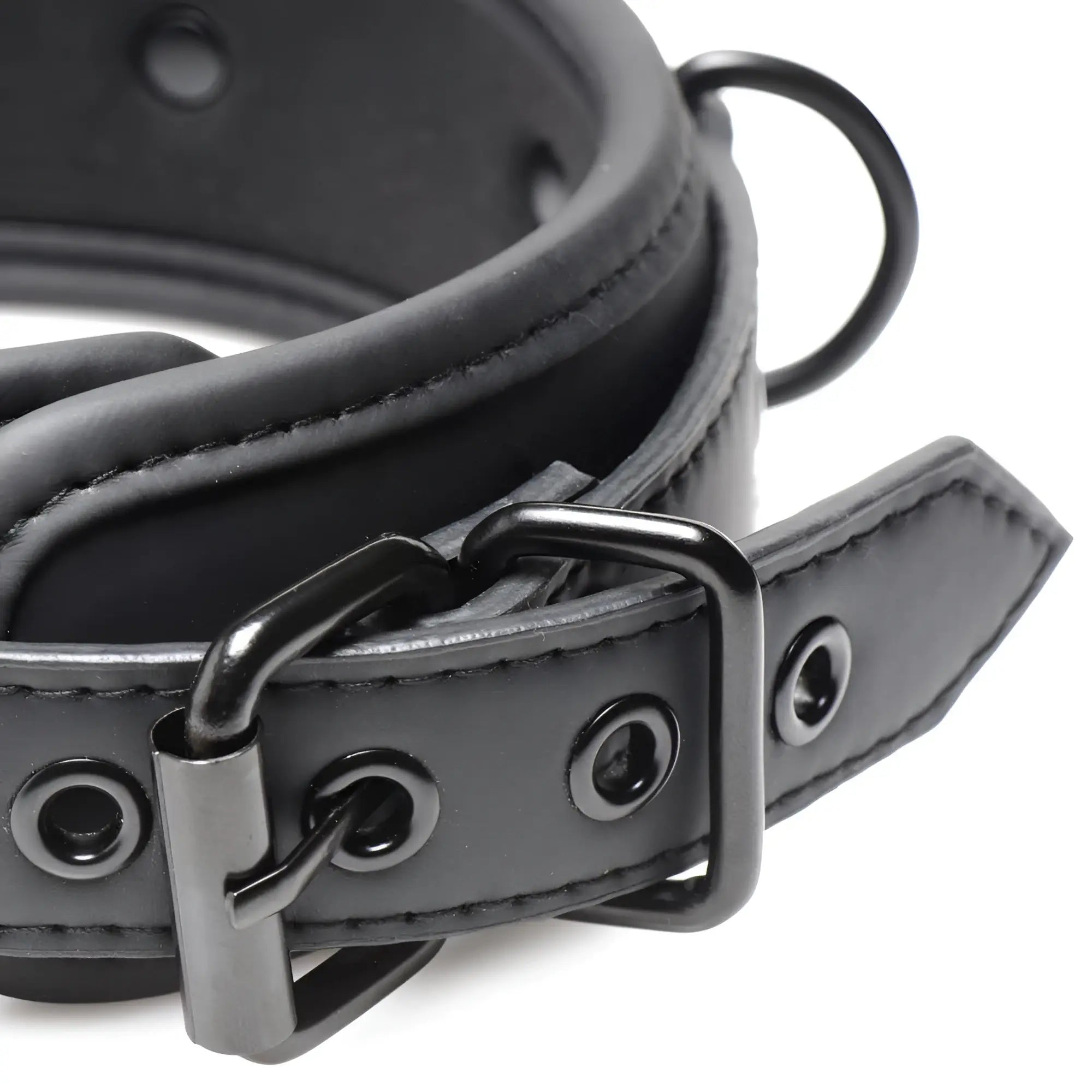 Master Series Temptress black collar with matching metal buckle and D-ring against a white background.