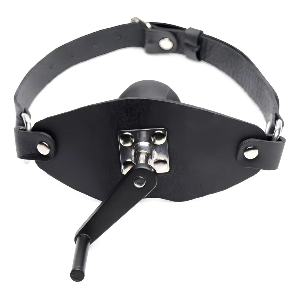 Master Series black leather crank ball gag with a silver metal adjustable mechanism and head strap.