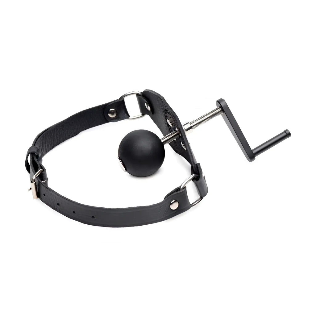 Master Series Crank Ball Gag with a black leather collar, a matte black ball, and an adjustable metal crank mechanism.