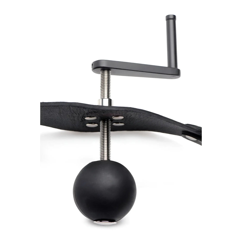Master Series Crank Ball Gag with a black silicone ball, threaded adjustment screw, and a black leather strap.