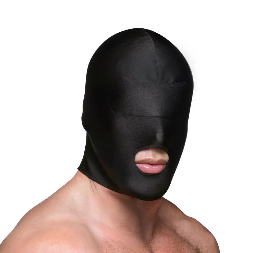 Master Series Disguise black hood with padded blindfold and open mouth, shown on a person’s head.