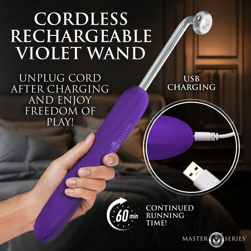 Master Series Elektra purple rechargeable violet wand, held in hand, with USB charging inset and 60-minute battery icon.