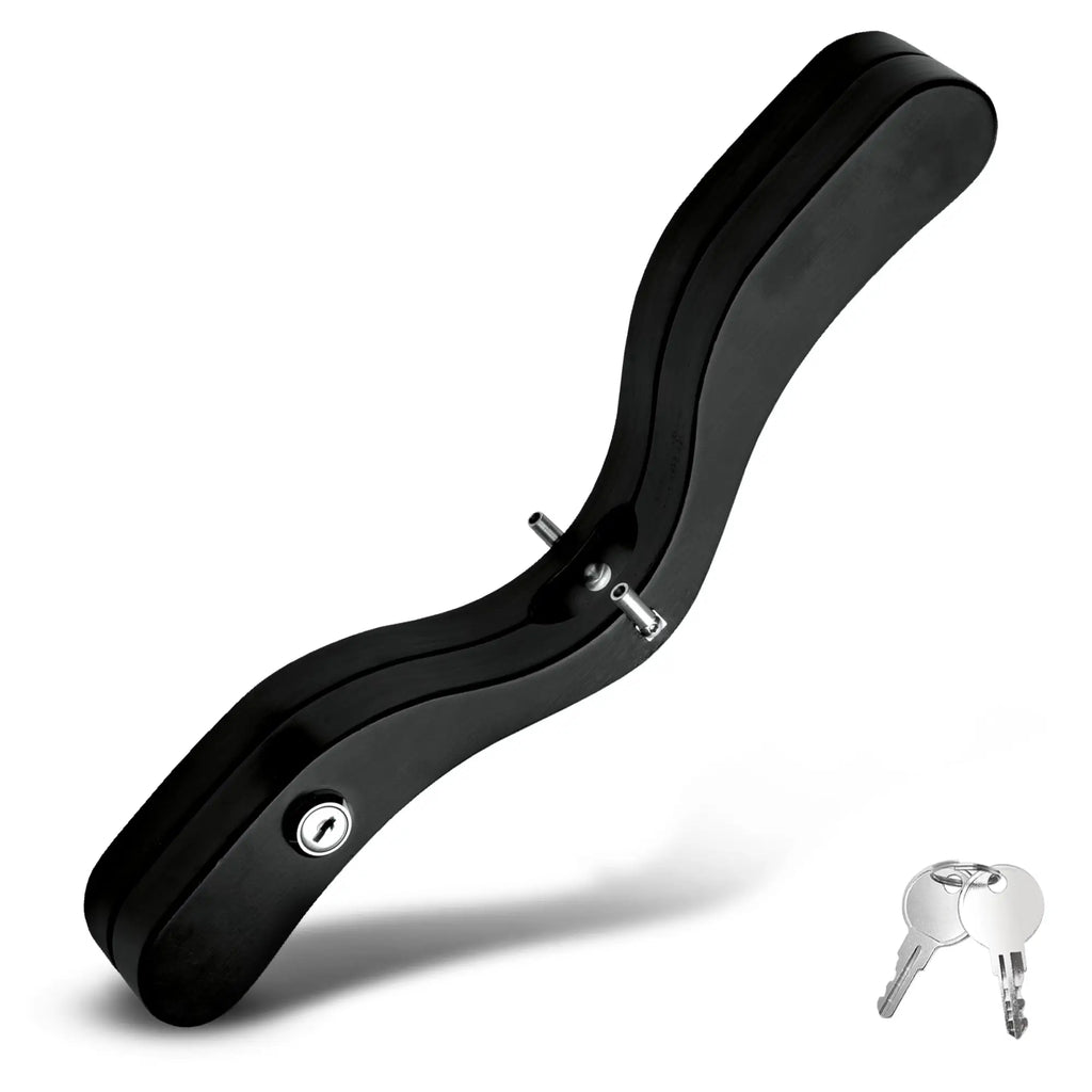Master Series black wooden humbler with metal E-stim contact points, side lock, and two silver keys.