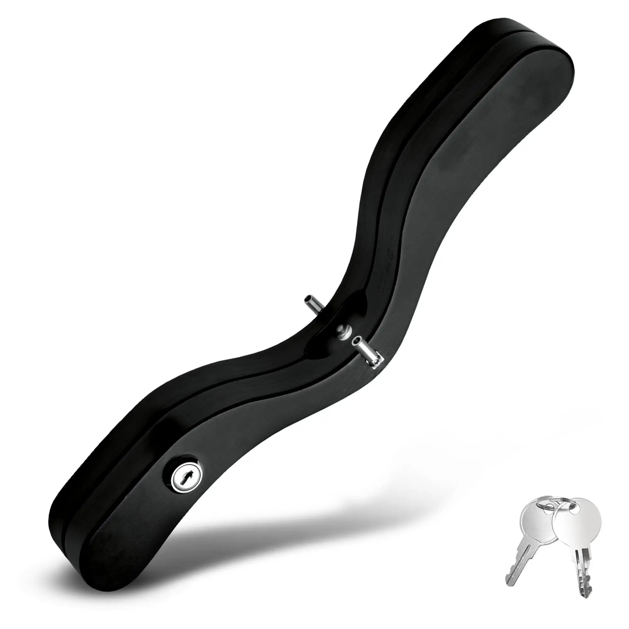 Master Series black wooden humbler with metal E-stim contact points, side lock, and two silver keys.
