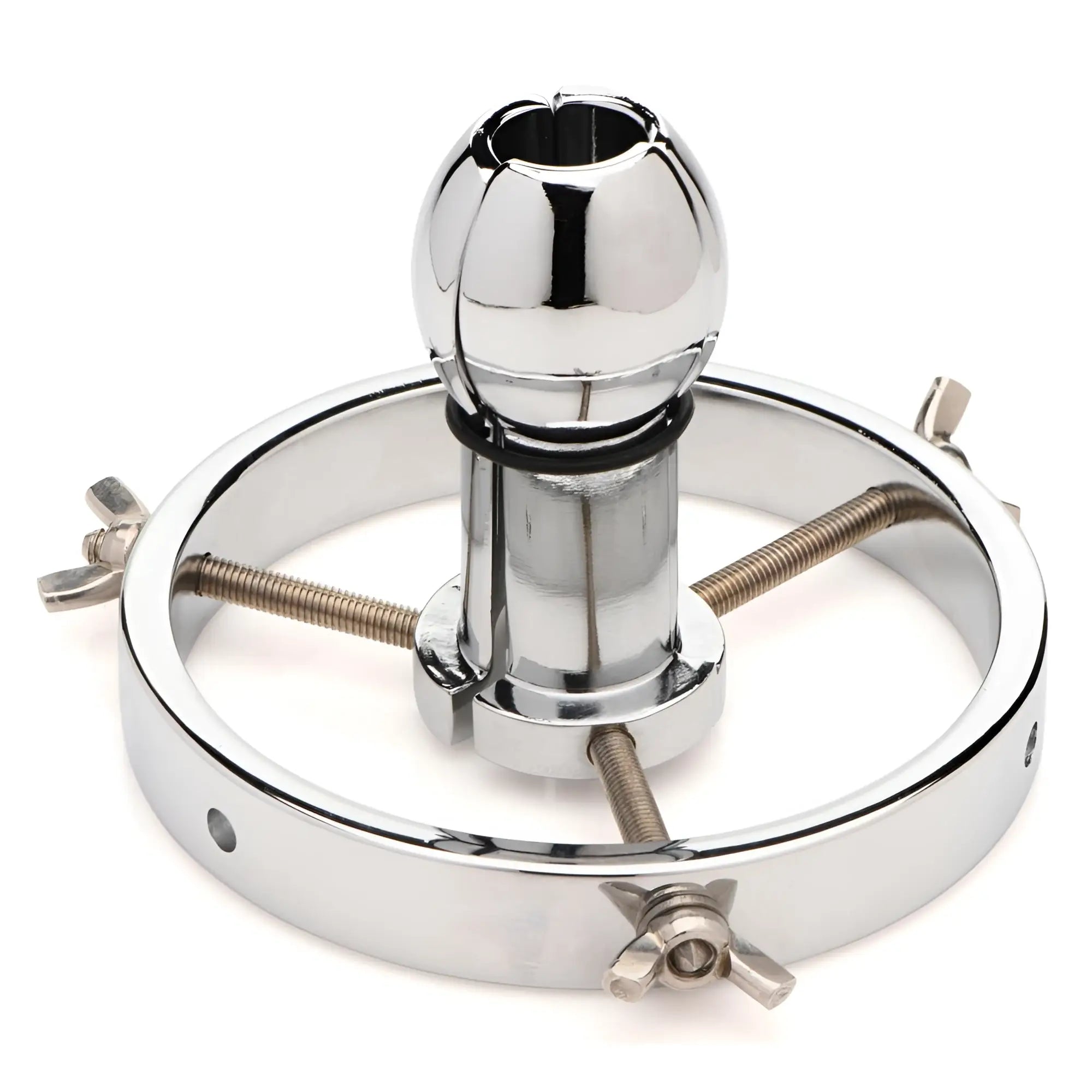 Master Series shiny stainless steel anal explorer with a bulbous head, central stem, and an adjustable ring base.