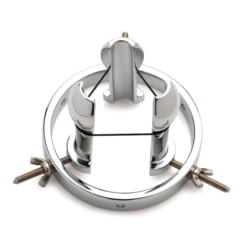 Master Series silver stainless steel anal explorer with a round frame, three adjustable prongs, and elastic bands.