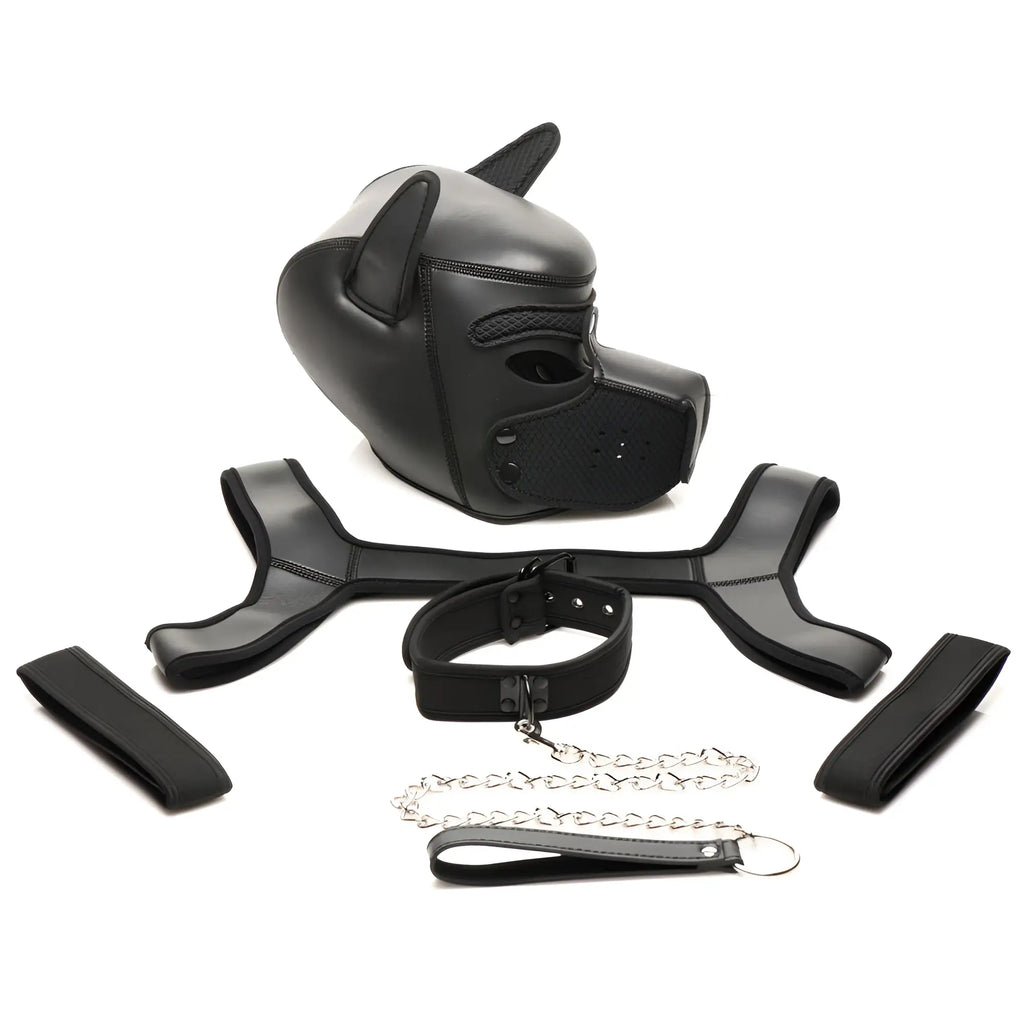 Master Series Full Pup Arsenal Set: a black neoprene pup hood, chest harness, collar with chain lead, and two arm cuffs.