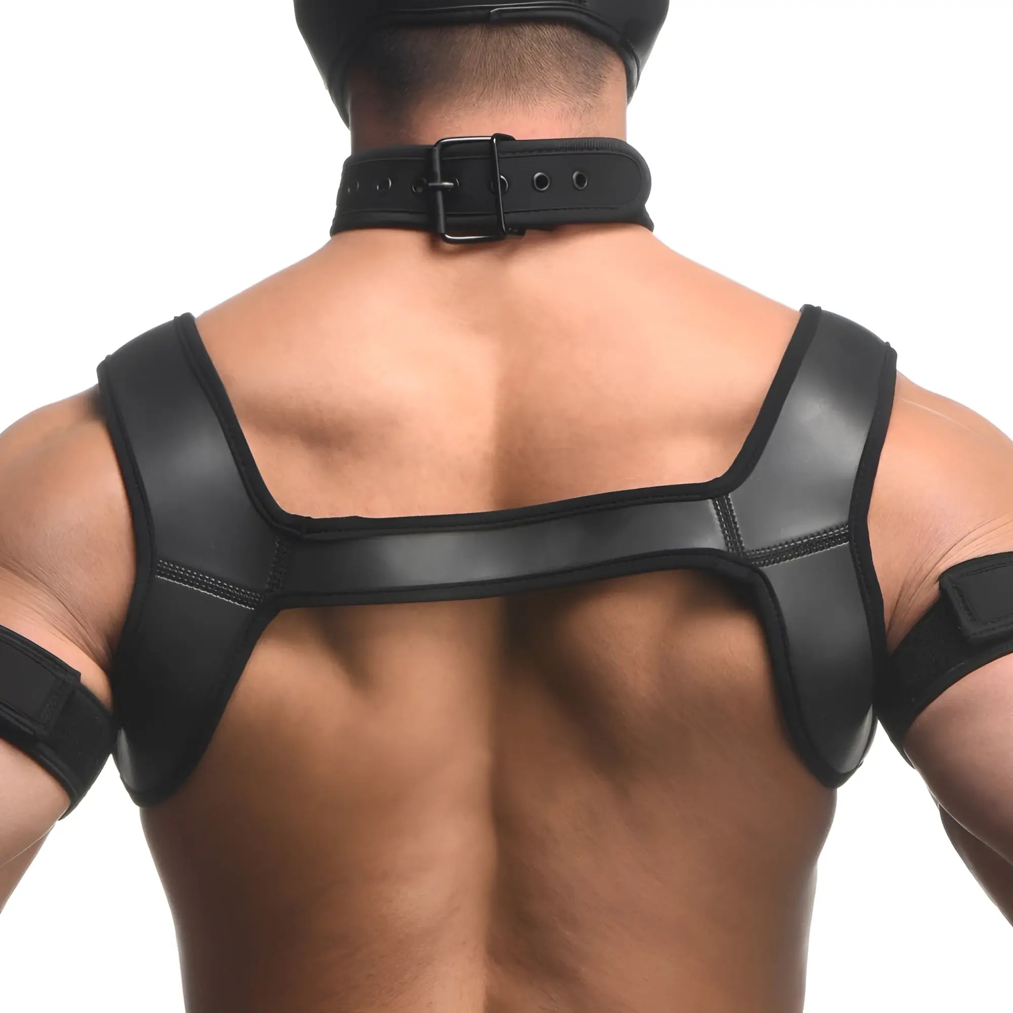 Master Series Full Pup Arsenal Set: A person wears a black neoprene collar, shoulder harness, and matching arm bands.