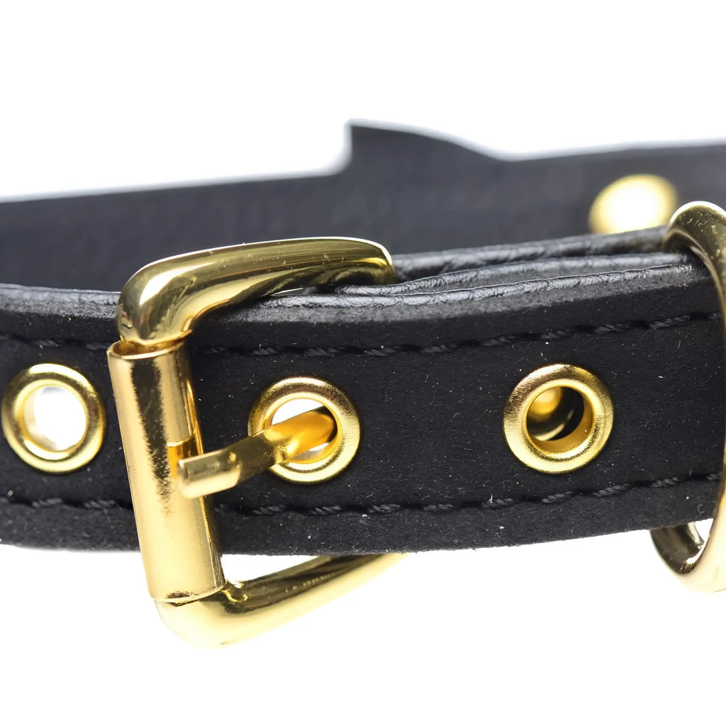 Master Series Golden Kitty Cat Bell Collar: a black leather collar featuring polished gold buckle and eyelet hardware.