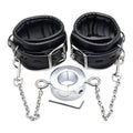 Master Series Hells Tether Ball Stretcher Humbler set with black leather cuffs, chrome weight, chains, and hex key.