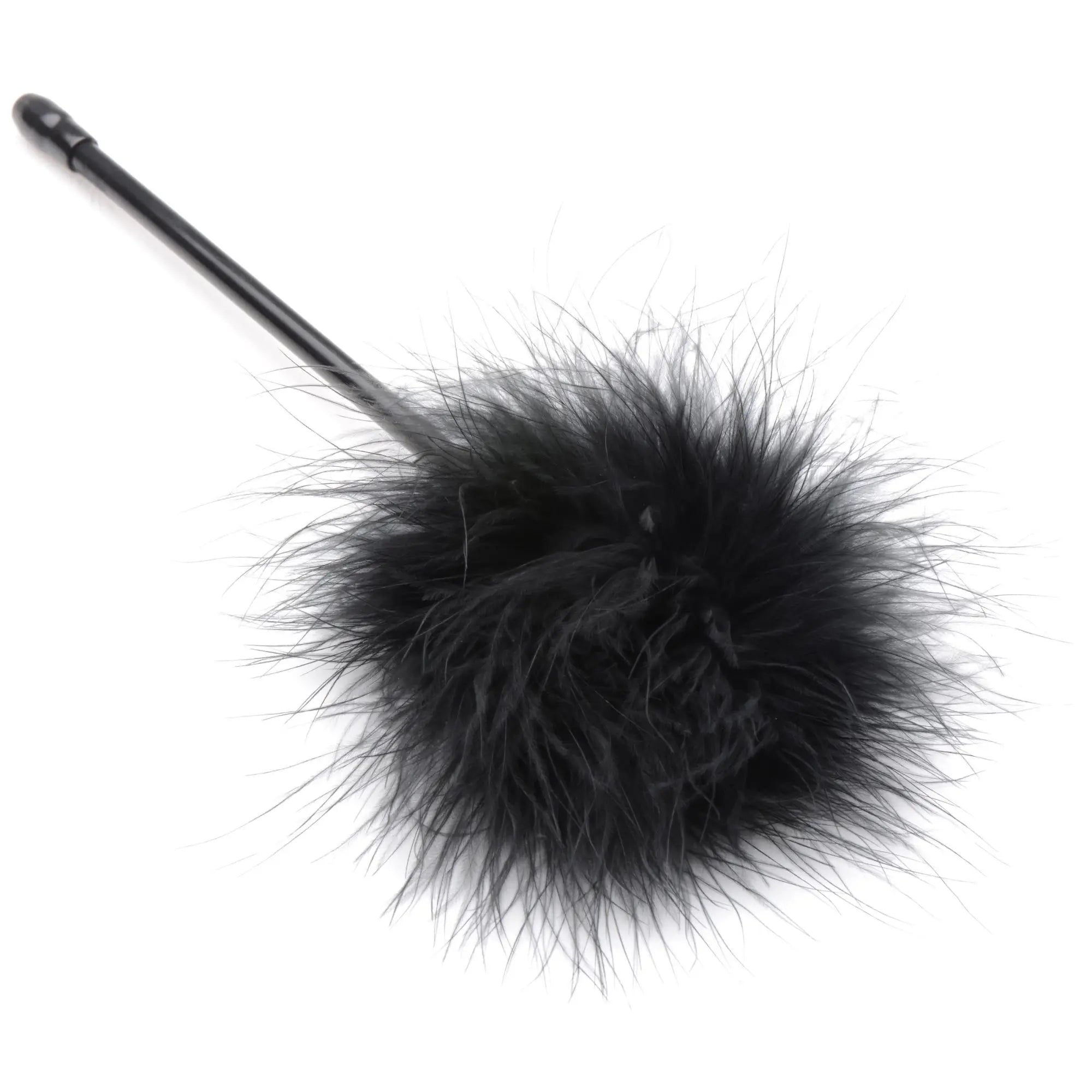 Master Series Hook Up set: A black feather tickler on a slim black handle isolated against a white background.