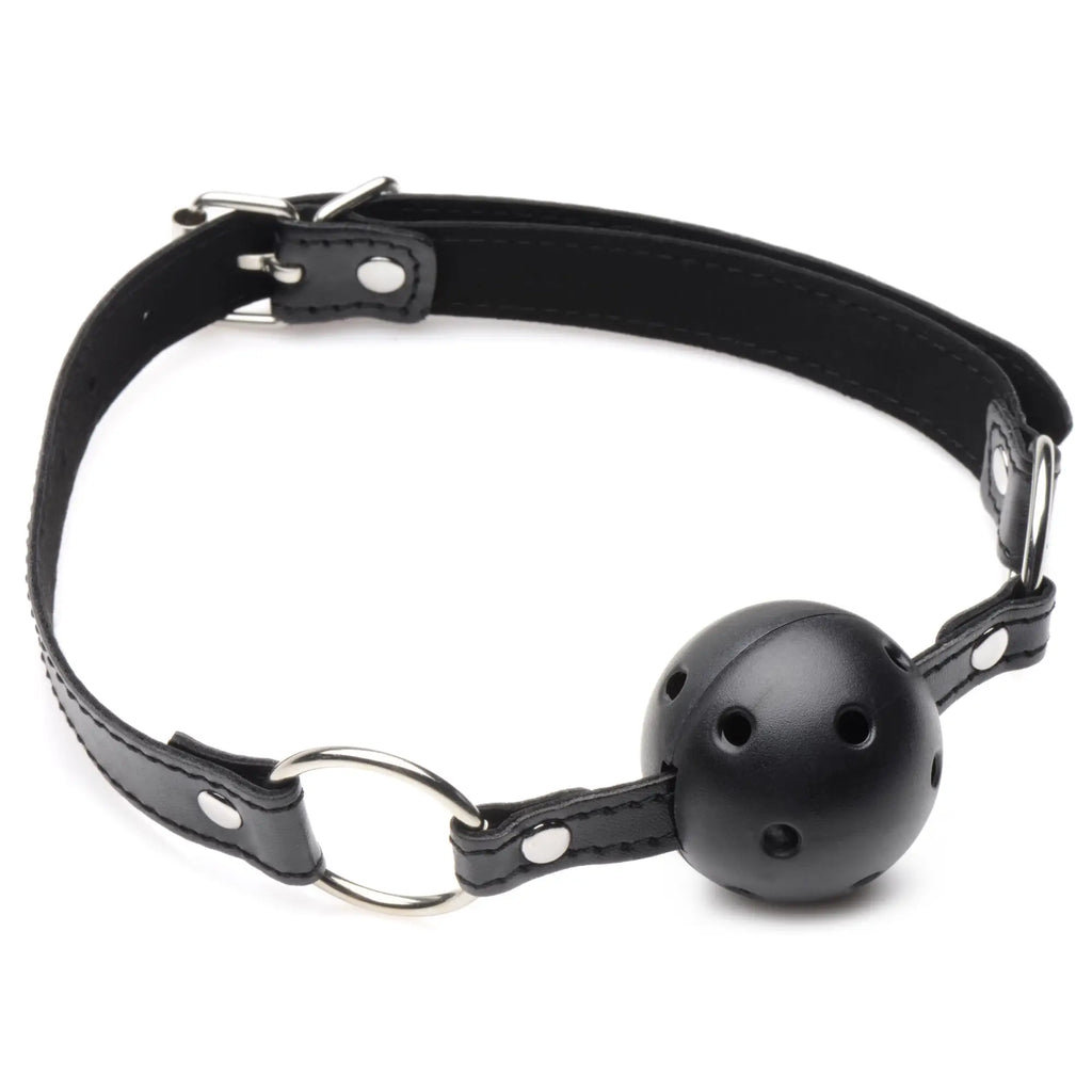 Master Series Hook Up ball gag with a black, adjustable buckled collar and a perforated black spherical mouthpiece.