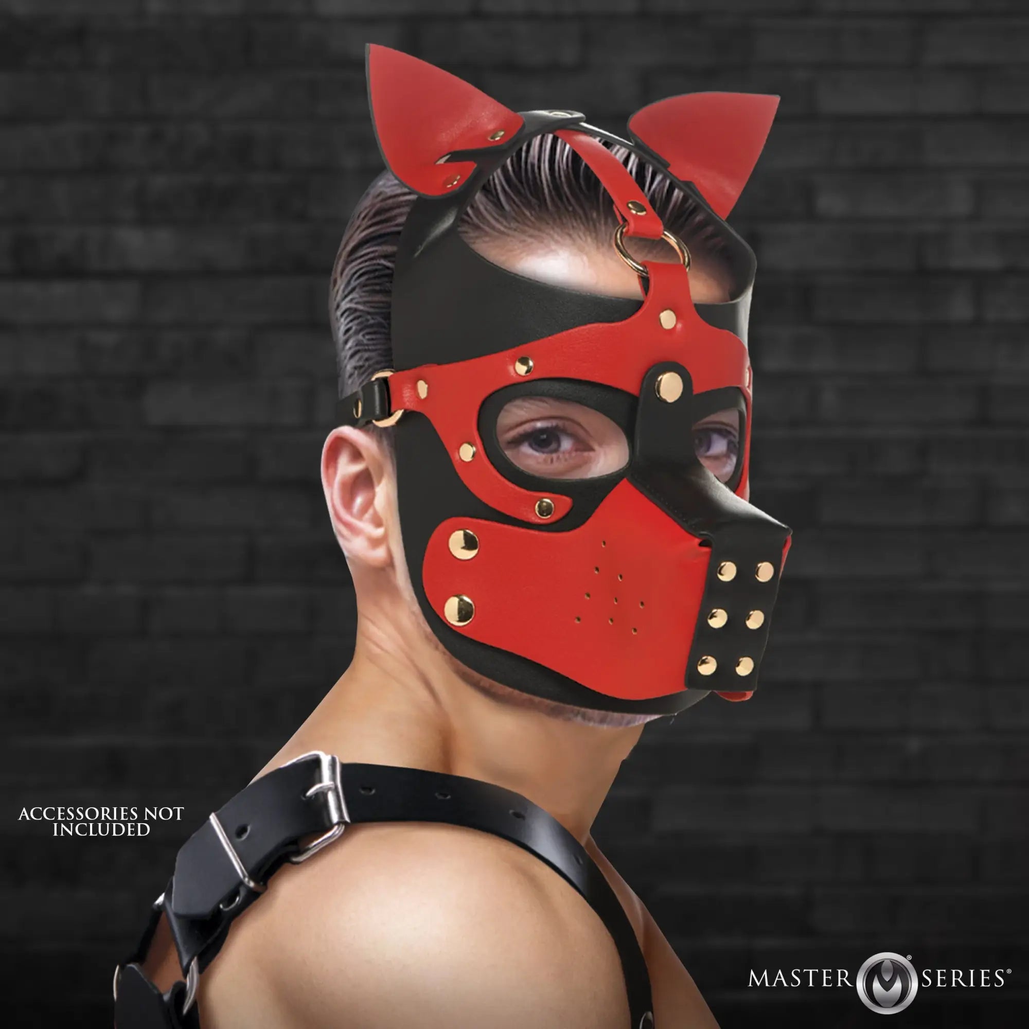 Master Series Hound Hood with Muzzle in red and black leather with gold-tone hardware and canine ears.