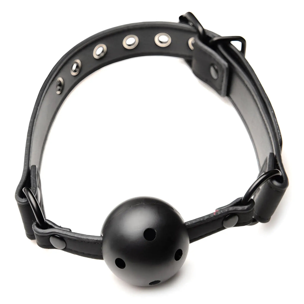 Master Series ball gag with black adjustable leather-style buckle collar and silver hardware, isolated on white.