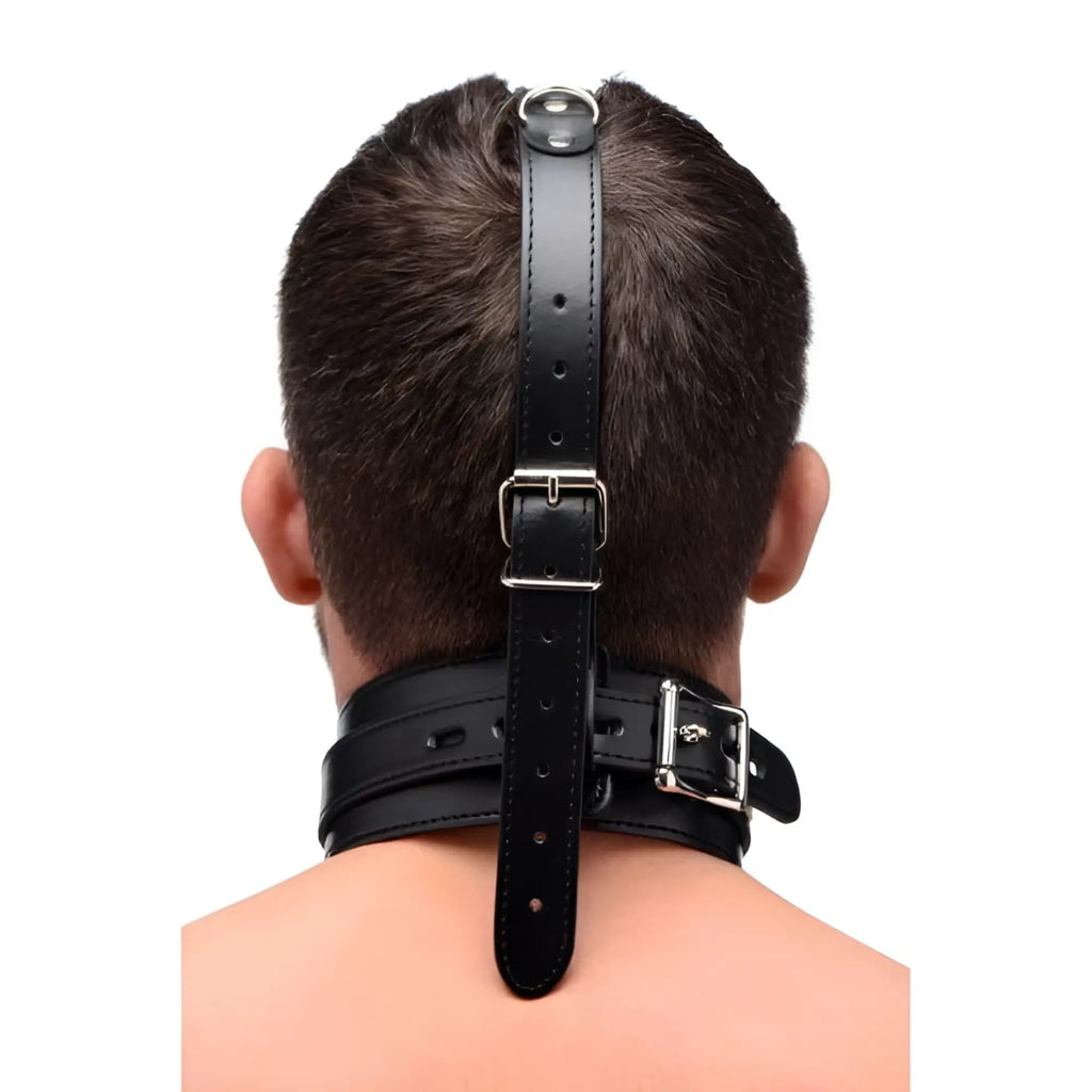 Master Series black leather collar and head strap with silver buckles, shown on a person’s neck and back of head.