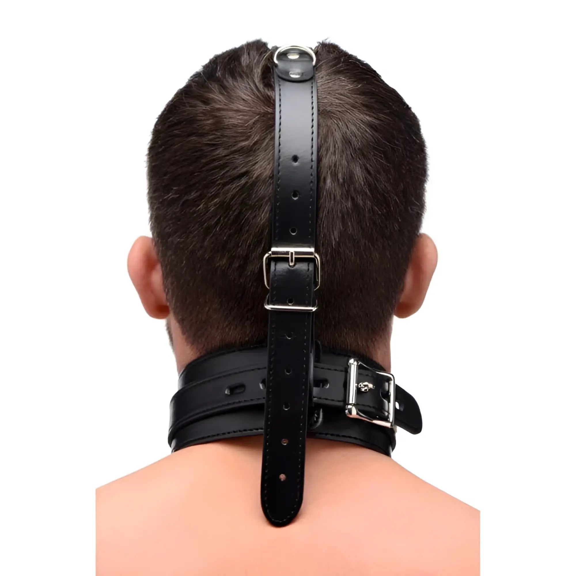 Master Series black leather collar and head strap with silver buckles, shown on a person’s neck and back of head.