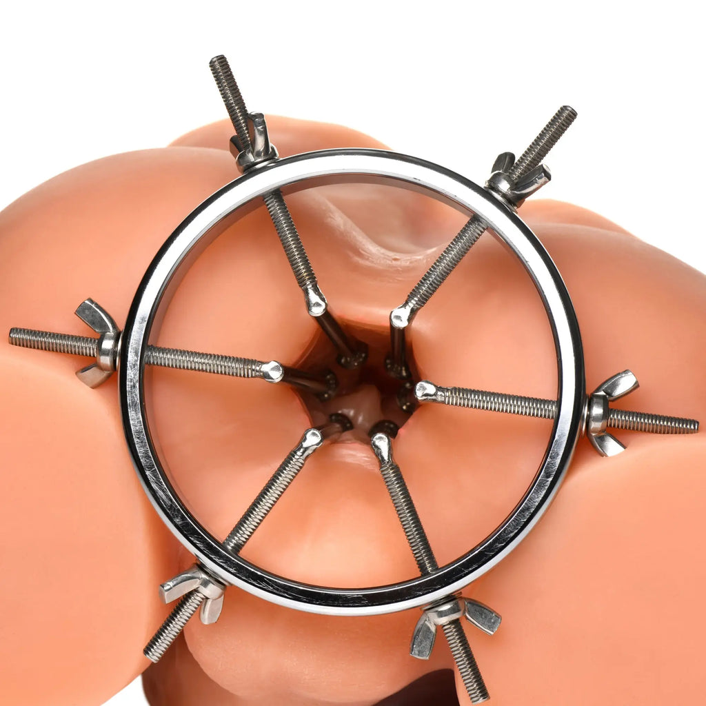 Master Series Oculus stainless steel anal explorer with a six-pronged adjustable metal ring on a skin-toned mannequin.