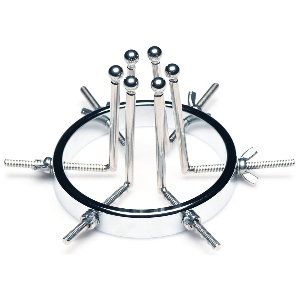 Master Series Oculus stainless steel anal explorer with a ring base and six adjustable, ball-tipped vertical rods.