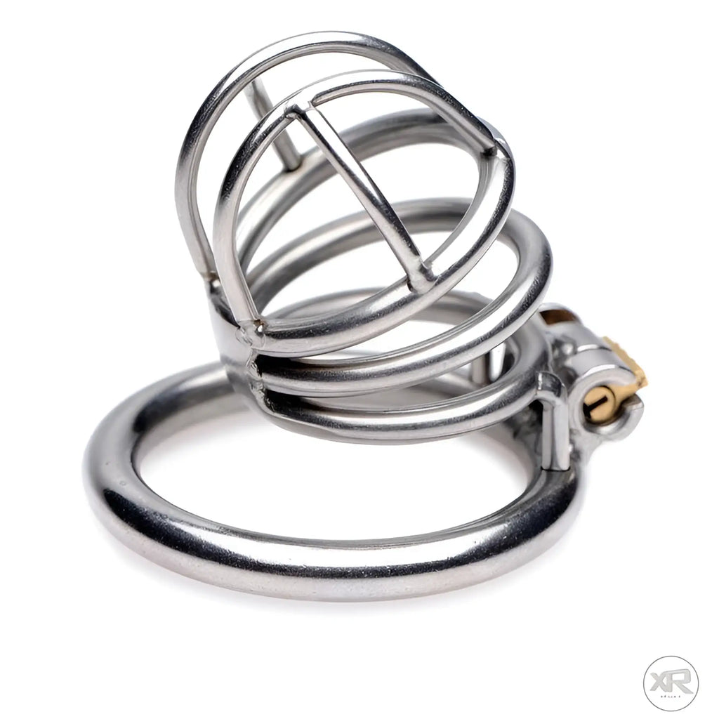 Master Series The Pen Deluxe: silver stainless steel locking chastity cage with wire-frame design and gold-tone lock.