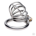 Master Series The Pen Deluxe: silver stainless steel locking chastity cage with wire-frame design and gold-tone lock.