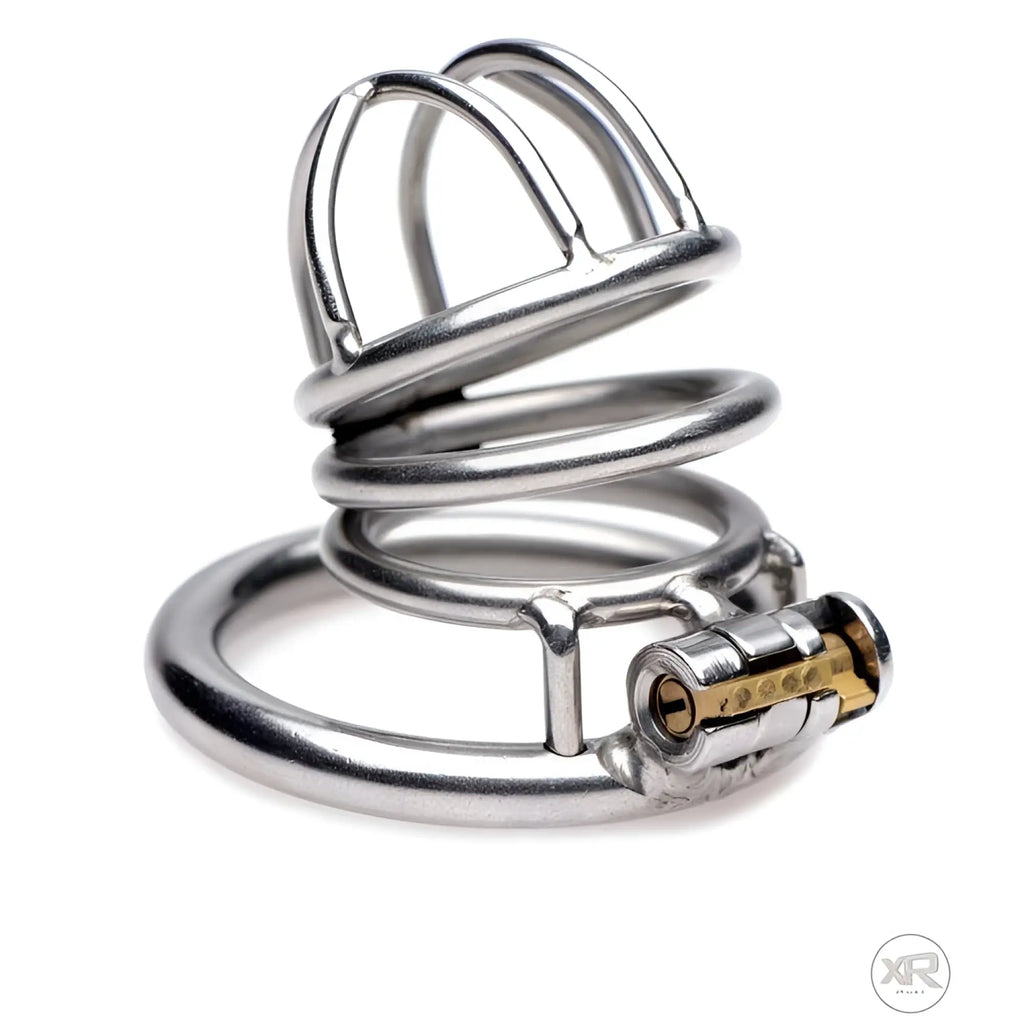 Master Series The Pen Deluxe: A silver stainless steel locking chastity cage with a base ring and integrated brass lock.