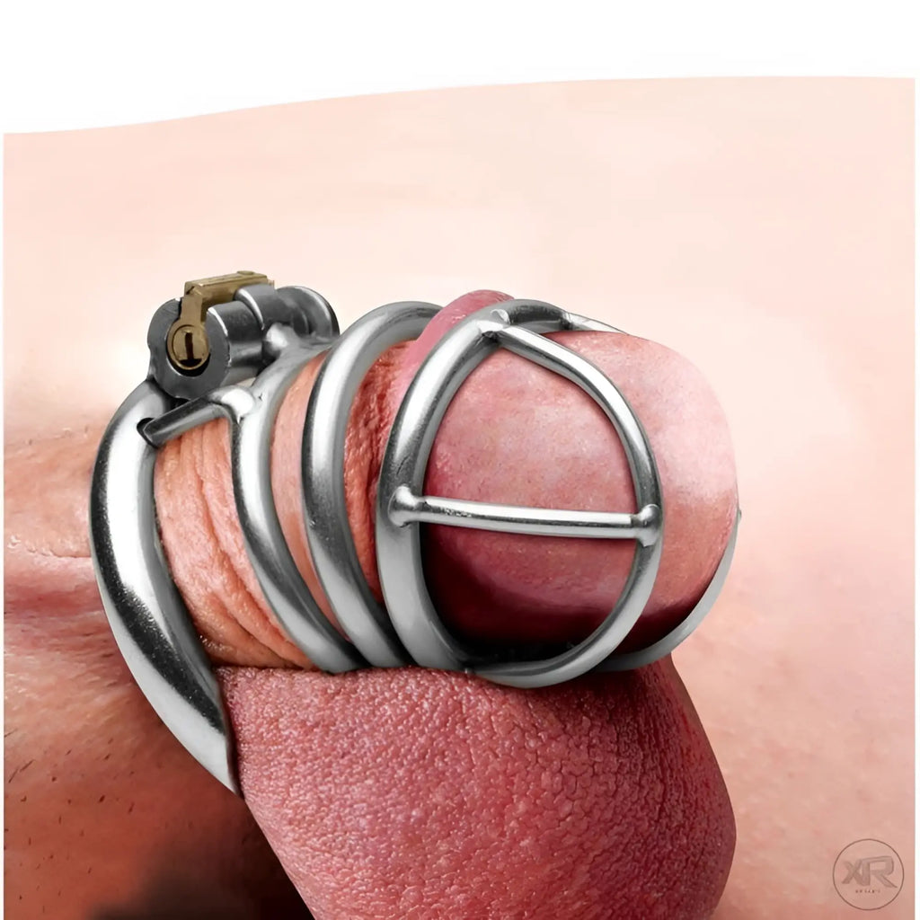 Master Series The Pen Deluxe: A stainless steel, cage-style chastity device with a brass locking mechanism.