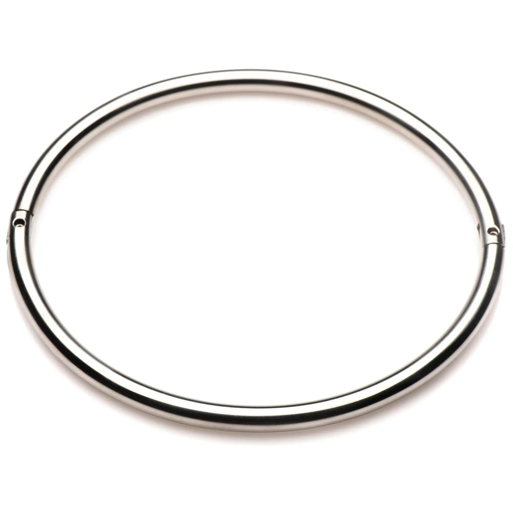 Master Series Possession silver stainless steel locking collar, a simple circular band on a white background.