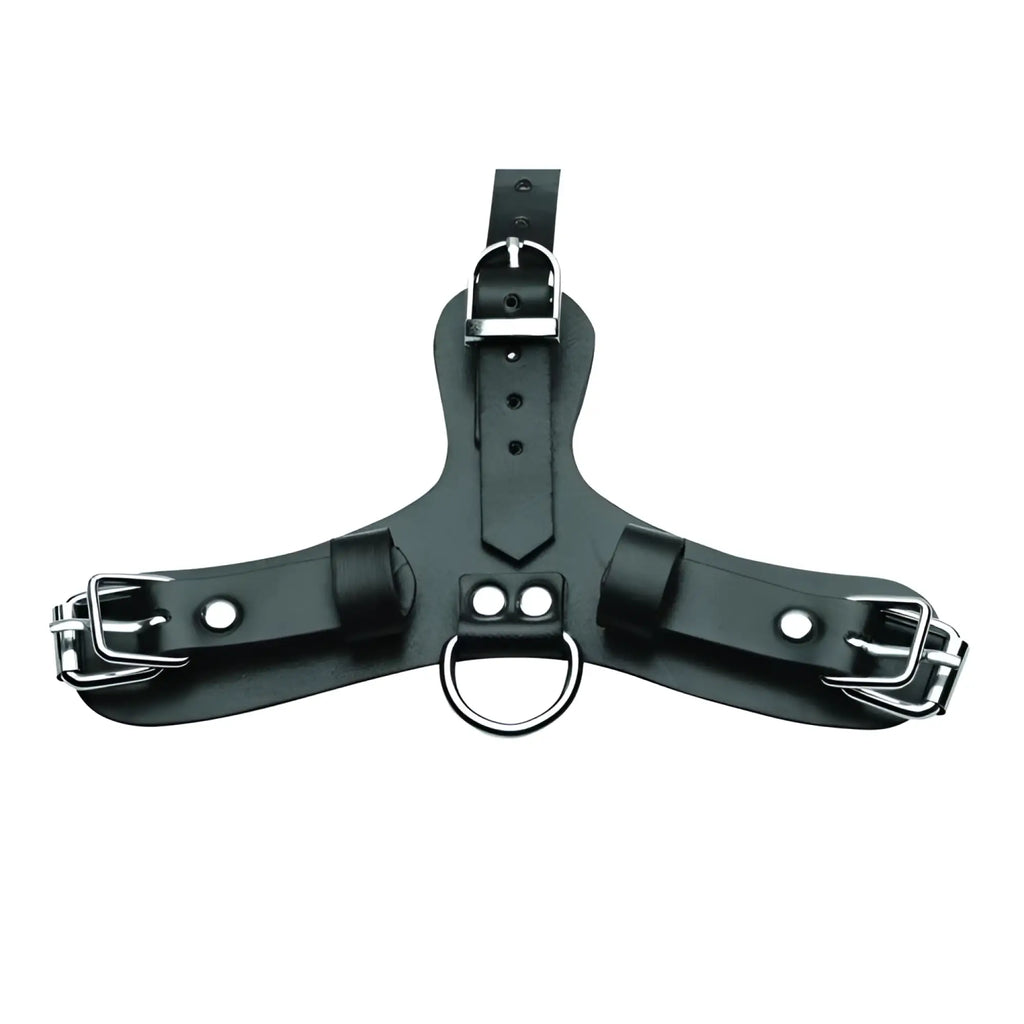 Master Series black leather pup hood harness with three adjustable buckle straps and a central metal D-ring.