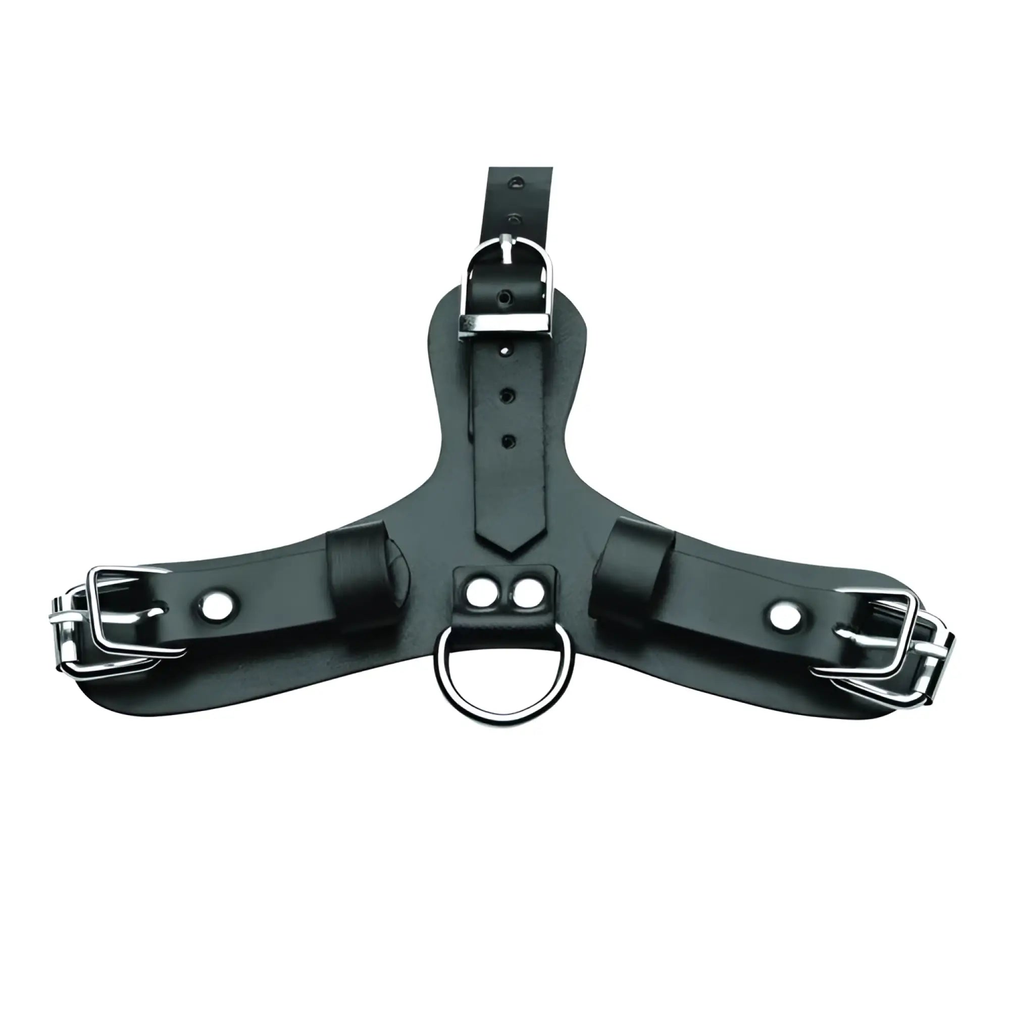 Master Series black leather pup hood harness with three adjustable buckle straps and a central metal D-ring.