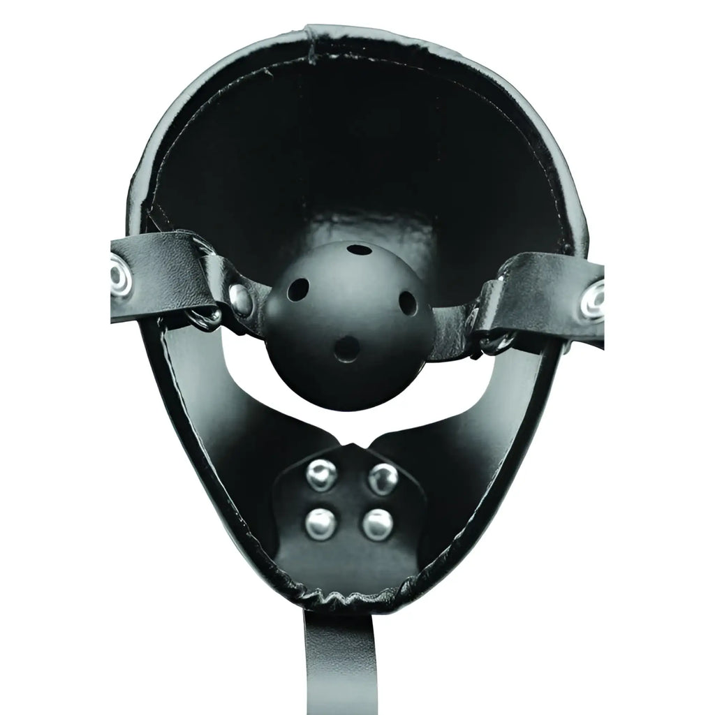 Master Series black leather pup hood with a center-mounted, perforated breathable ball gag and silver hardware.