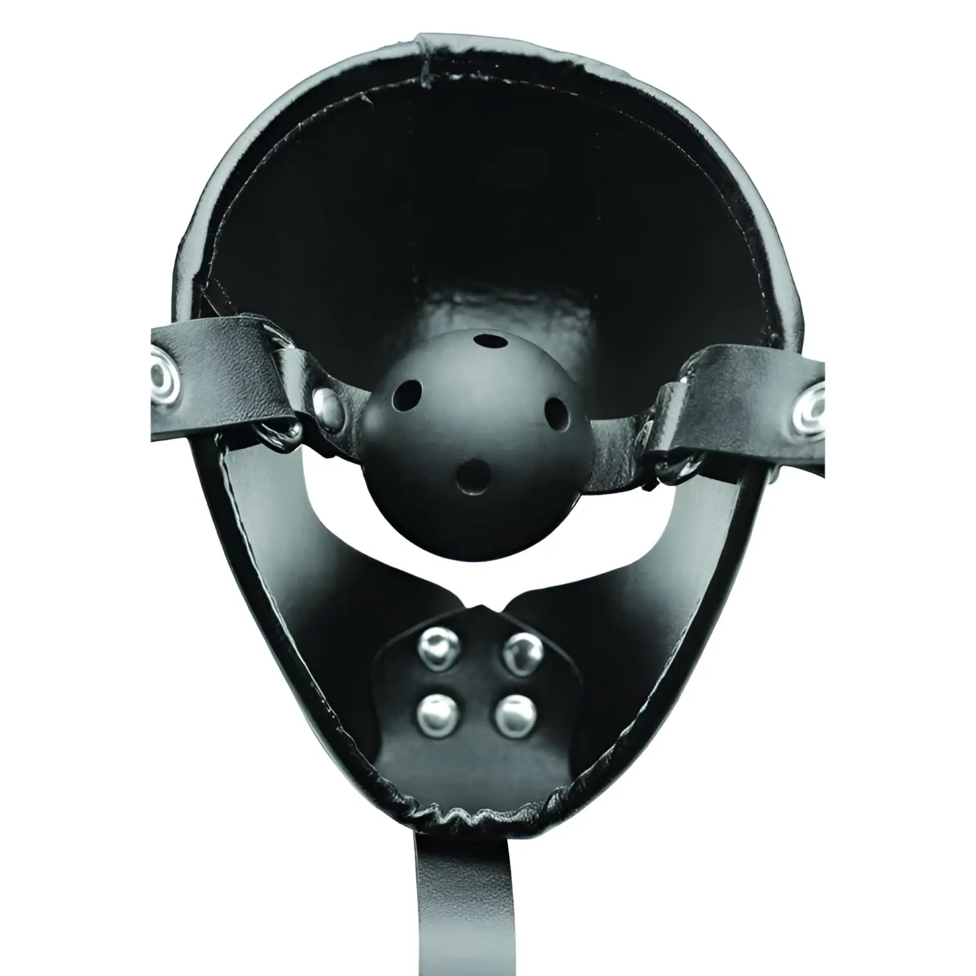 Master Series black leather pup hood with a center-mounted, perforated breathable ball gag and silver hardware.