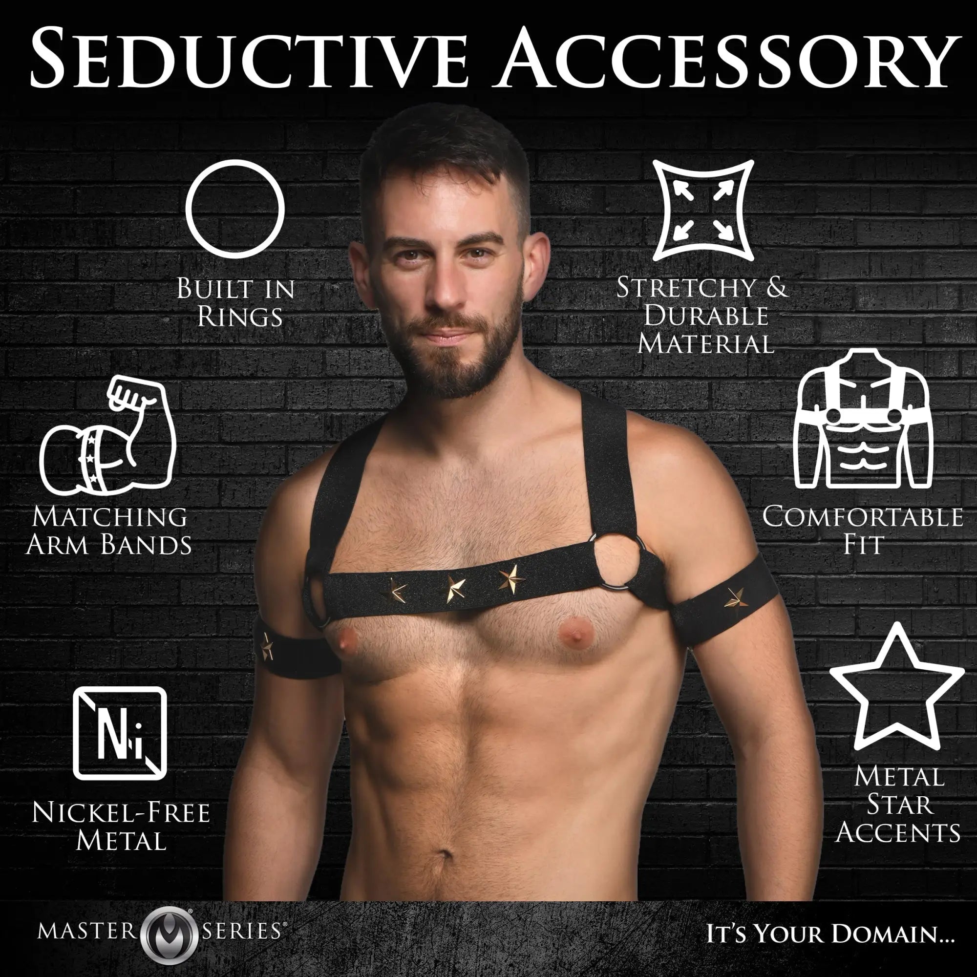 A shirtless man wears a black Master Series elastic chest harness with arm bands and gold star hardware.