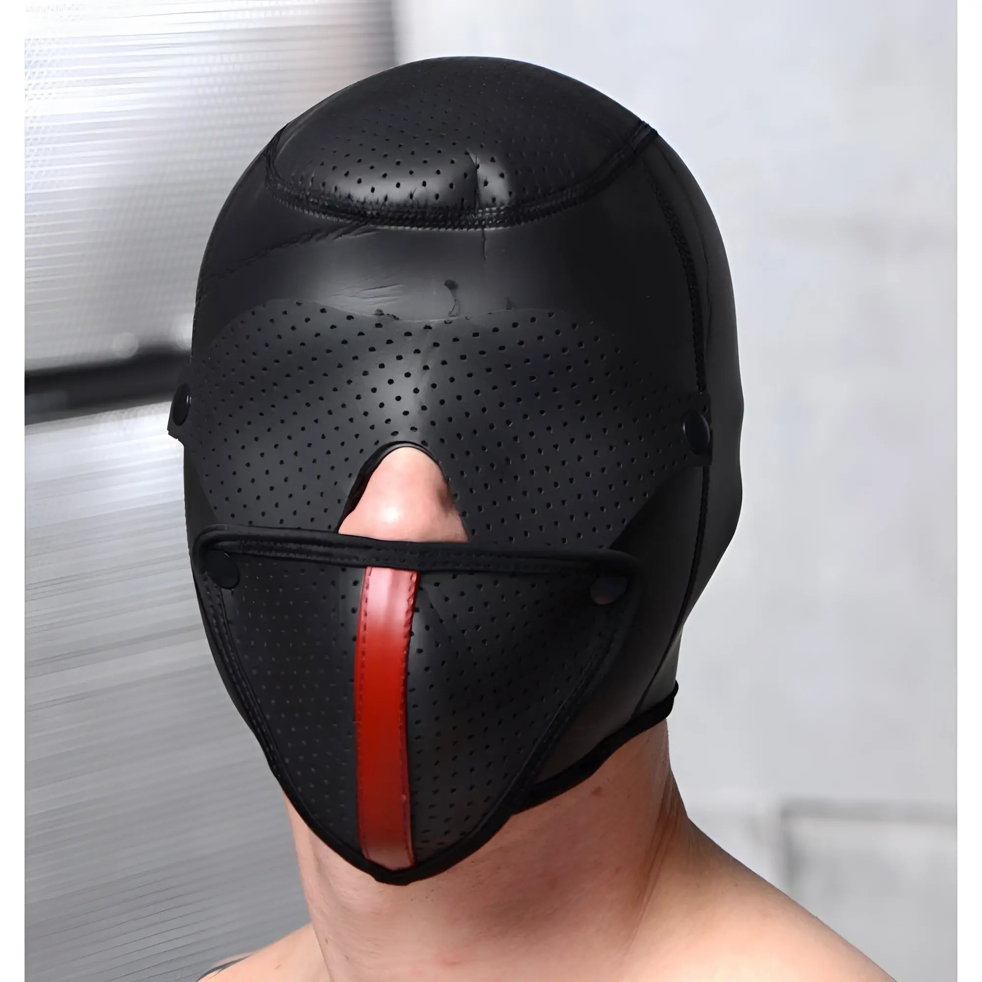 Master Series Scorpion Hood With Removable Blindfold and Face Mask