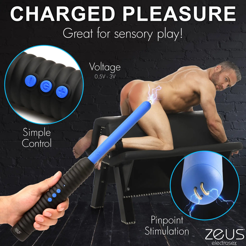 Master Series Shock Rod Zapping Wand: black and blue electronic stimulation wand with blue buttons and metal contact tips.