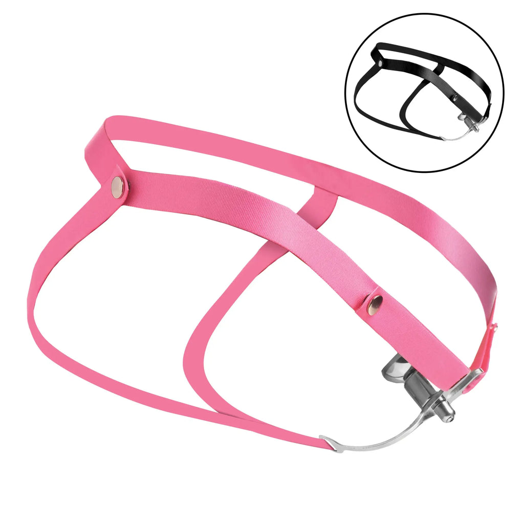 Master Series Sissy Vice cage: pink strap harness with a metal device and a black version in an inset circle.
