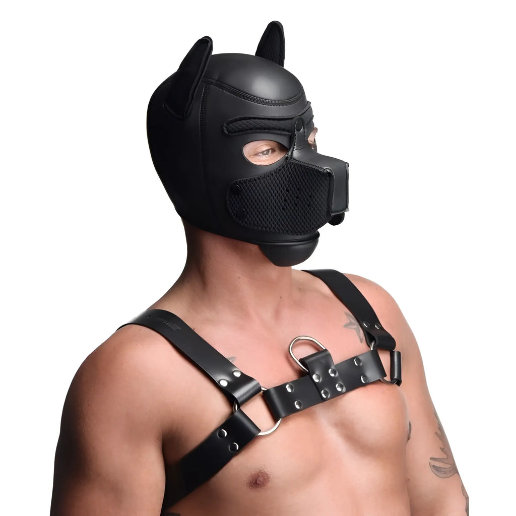 Master Series Spike Neoprene Puppy Hood in black, worn with a leather-style chest harness.