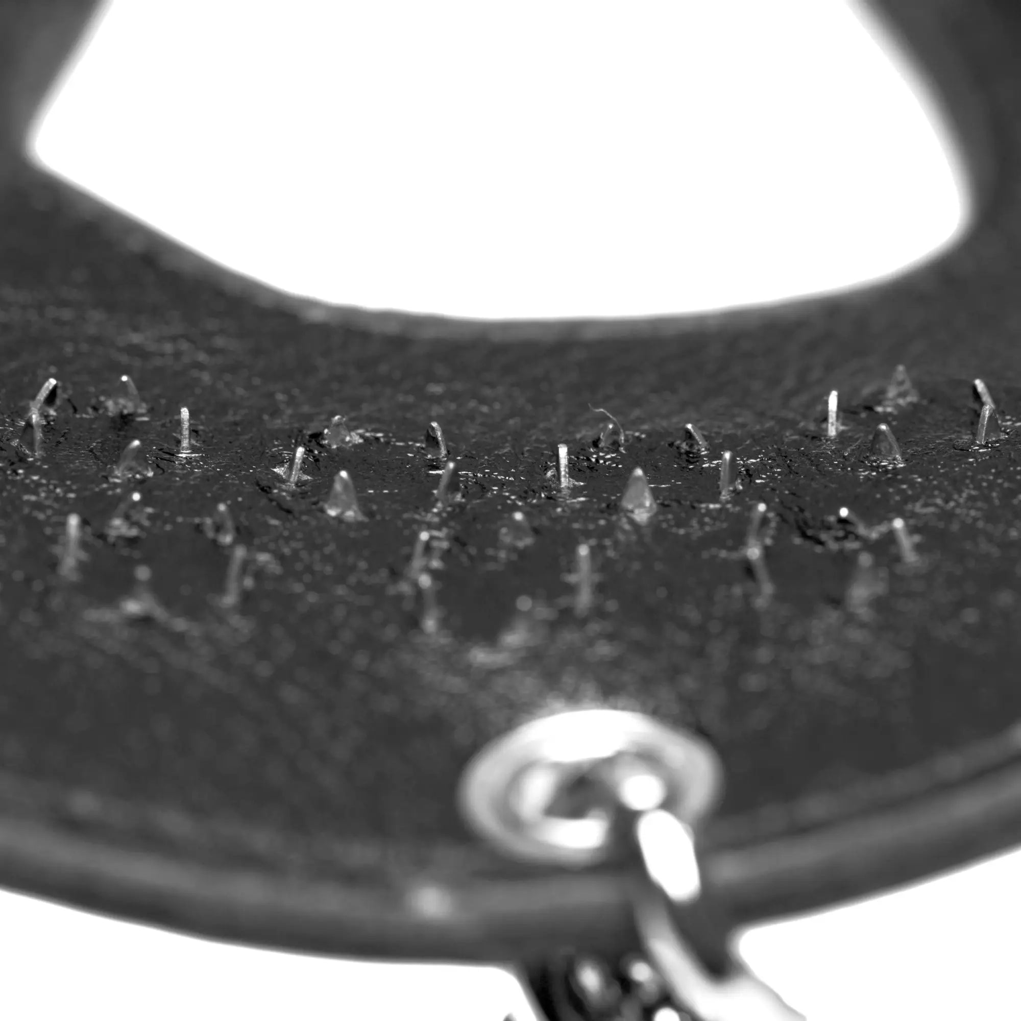 Master Series Spike and Stretch CBT kit: a black leather collar featuring internal metal spikes and a silver ring.