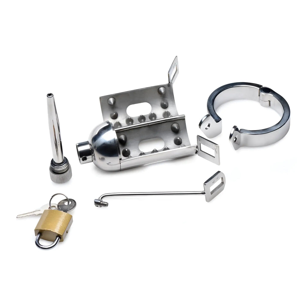 Master Series Spiked Chamber Chastity Cage in chrome, featuring an internal spiked cage, ring, rod, and brass padlock.