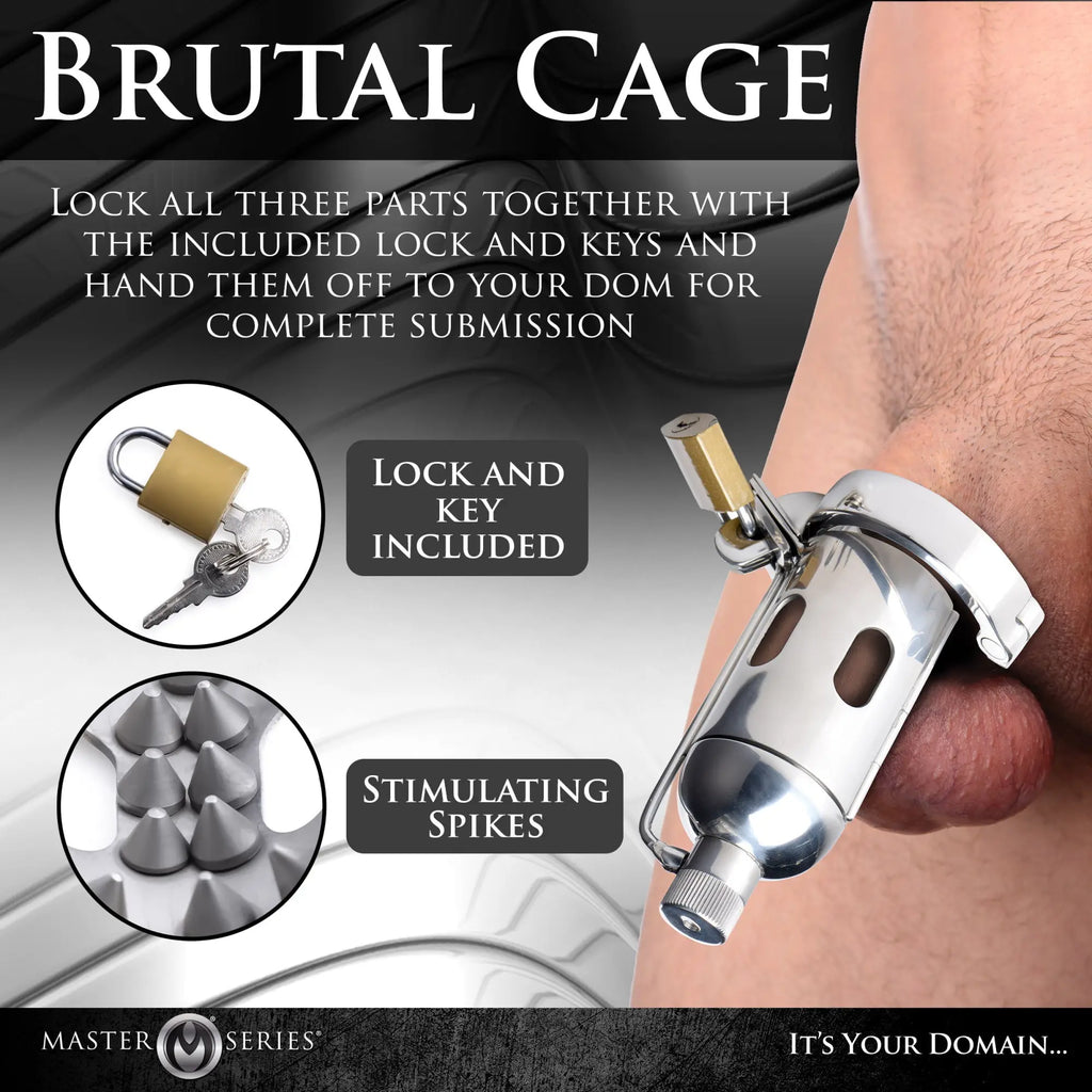 Master Series Spiked Chamber chastity cage in polished silver, featuring internal spikes, locking mechanism, and keys.