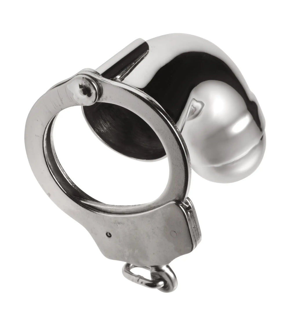 Master Series stainless steel cock cage with a polished silver finish, featuring a hinged locking ring design.